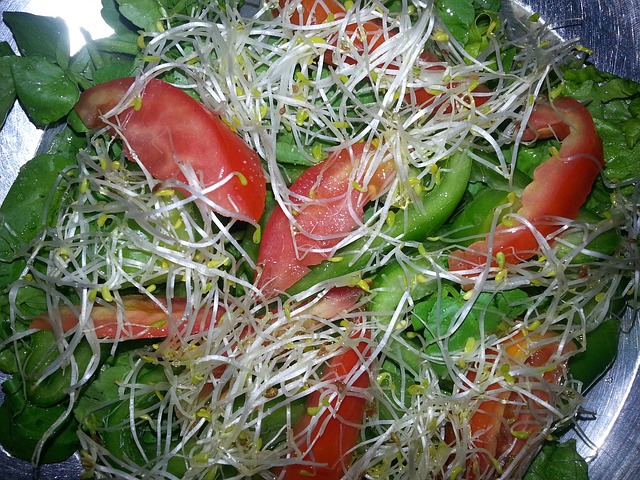 zeleninový salát s naklíčenou řeřichou