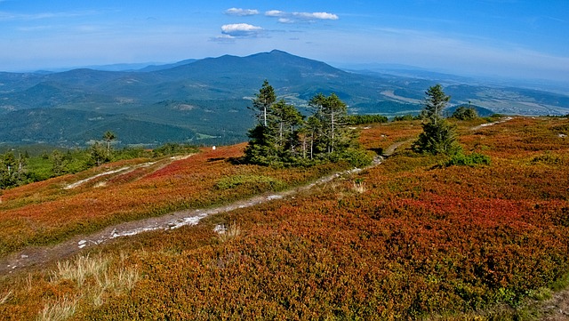dovolená v Beskydech